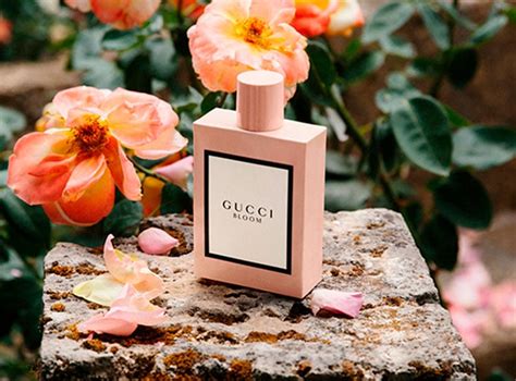 perfume de mujer gucci bloom|where to buy Gucci Bloom.